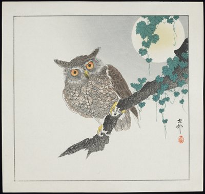 Coruja, pré-1912 de Ohara Koson